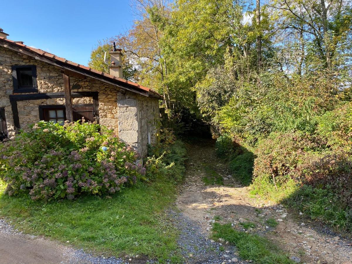 La Vaisse Bed and Breakfast Ambert Εξωτερικό φωτογραφία